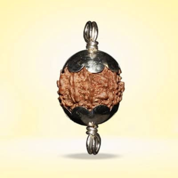 9 Mukhi Rudraksha