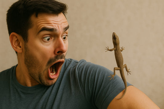 What Is The Significance Of A Lizard Falling On Our Body