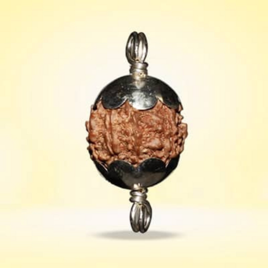 9 Mukhi Rudraksha